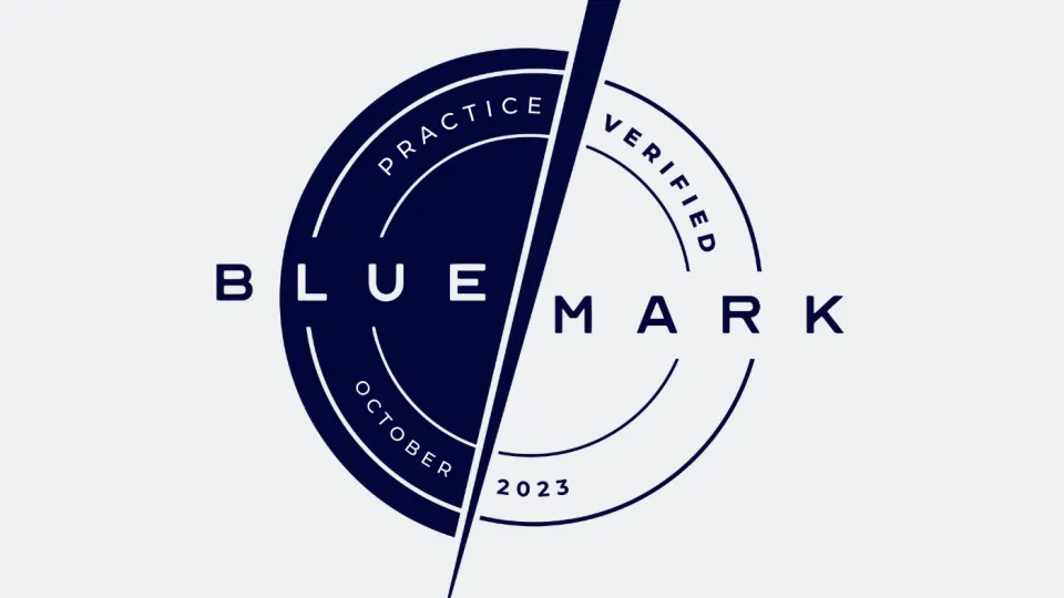Bluemark 2023 logo timeline