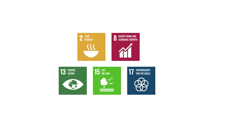 sdg banking on tea
