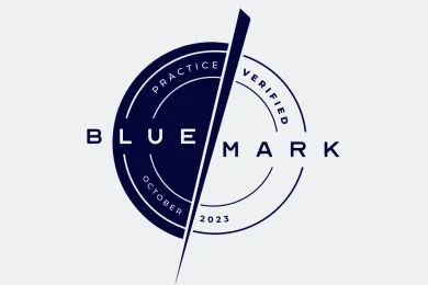 Bluemark 2023 logo timeline