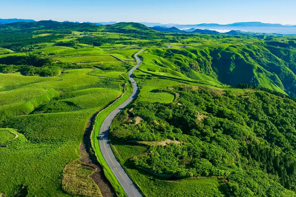 Finance in Motion - Green