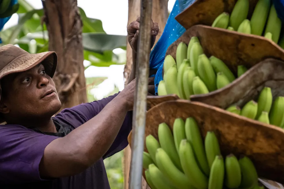 EBF Header image Costa Rica