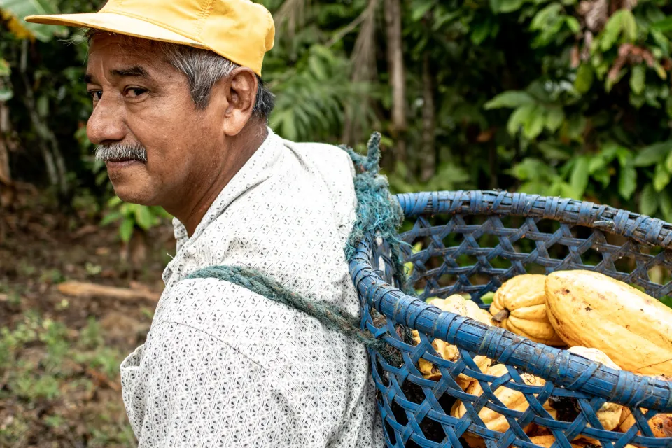 EBF small image cocoa producer