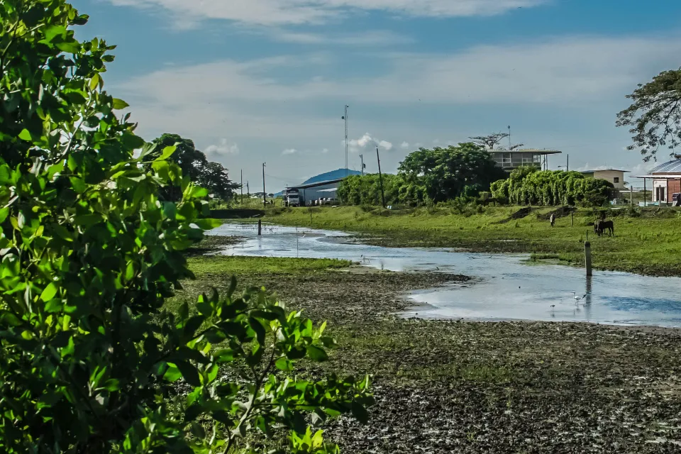 EBF small image shrimp farm