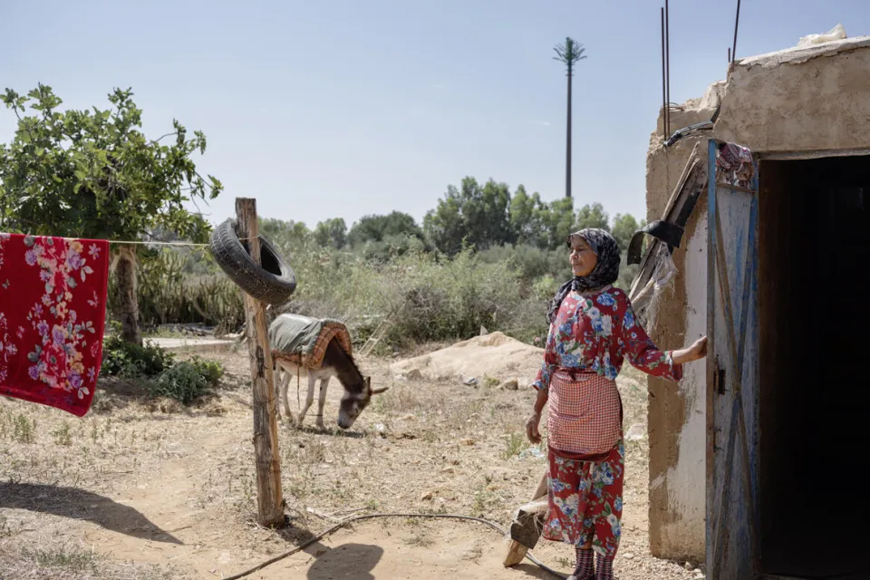 SANAD Header image agriculture
