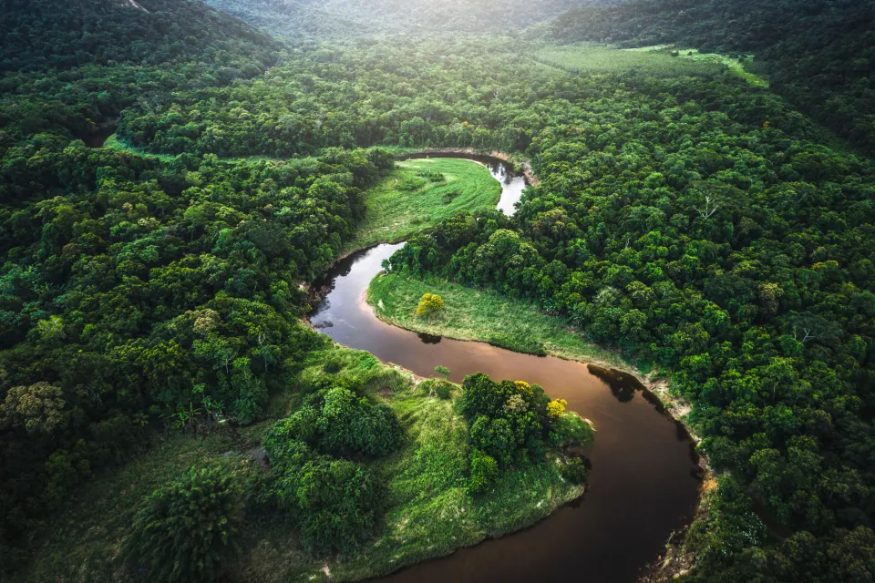 Landscape lagreen