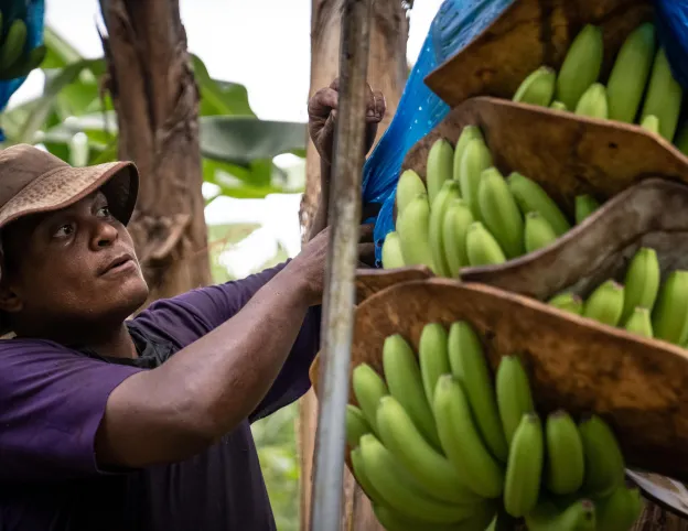 EBF Header image Costa Rica